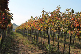 Agriturismo Le Sorgenti