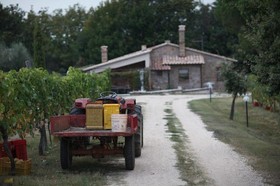 Villa Vacasio
