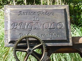 Antico Podere Il Bugnolo B&B