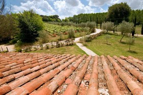 Croce Di Bibbiano