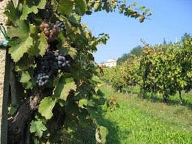 Farm House La Moraia