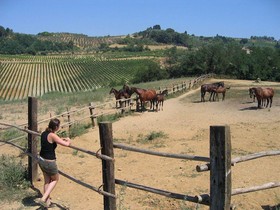 Farm House La Moraia