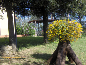 Podere Risoino