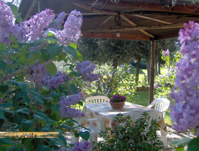 Podere Risoino