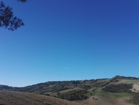 Agriturismo Il Palagetto