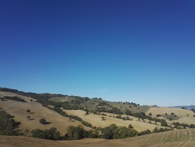 Agriturismo Il Palagetto