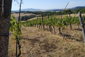 Agriturismo Incanto Del Fiume