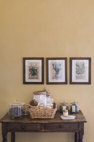 Bio Agriturismo Il Cerreto