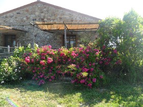 Fattoria Di Statiano