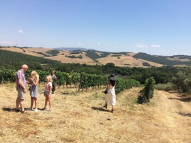 Fattoria Di Statiano