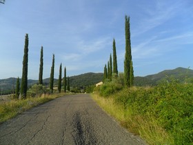 Fattoria Di Statiano