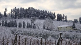 Agriturismo Fattoria Lavacchio