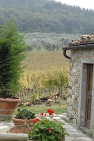 Agriturismo Fattoria Lavacchio