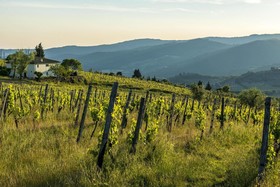 Agriturismo Fattoria Lavacchio
