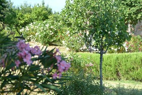 Podere Vignola