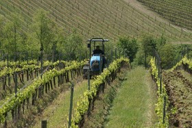 Podere Vignola