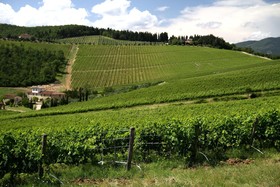 Podere Vignola