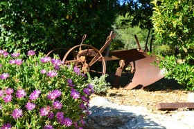 Podere Vignola