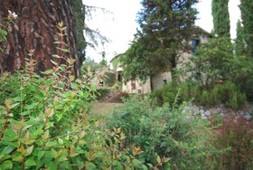 Podere di Stelle
