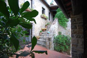 Podere di Stelle