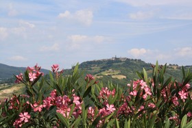 Agriturismo Materno