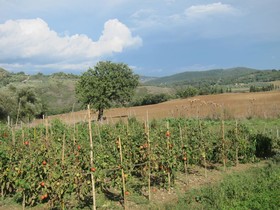 Podere Paugnano