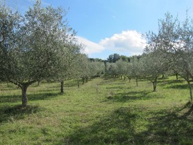 Podere Paugnano