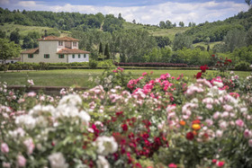 VIESCA Il Borro Toscana