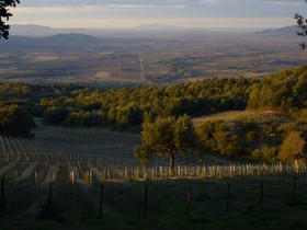 Valdonica Winery & Vineyard Residence