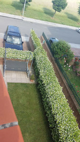 Residence Arianna