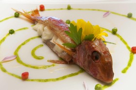 Hotel Cernia Isola Botanica