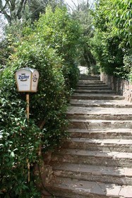 Monti