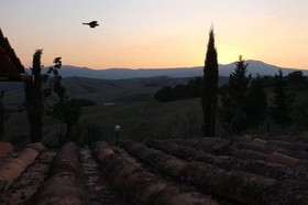 Podere Assolatina Agriturismo