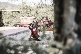 Agriturismo Il Pintello