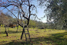 Agriturismo Il Pintello