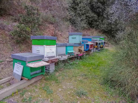 Agriturismo Il Pintello