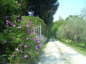 Bed and Breakfast Il Giglio Etrusco