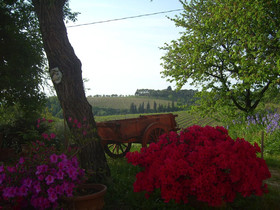 Bed and Breakfast Il Giglio Etrusco