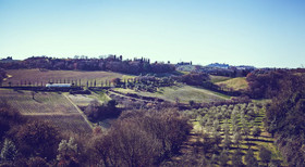 Bio-Agriturismo La Ginestra