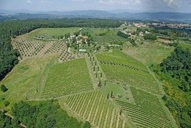 Salvadonica Borgo Del Chianti
