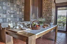 Salvadonica Borgo Del Chianti