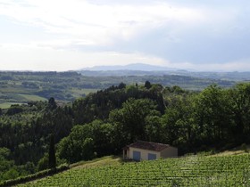 Villa I Barronci