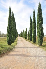 Villa Sant'Andrea