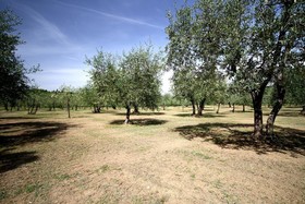 Agriturismo Molinuzzo