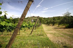 Agriturismo Molinuzzo