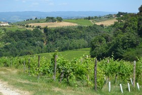 Country House Il Castagnolo