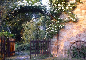 Fortezza De' Cortesi