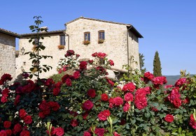 Fortezza De' Cortesi
