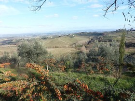 I Coppi