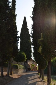 Il Casale del Cotone